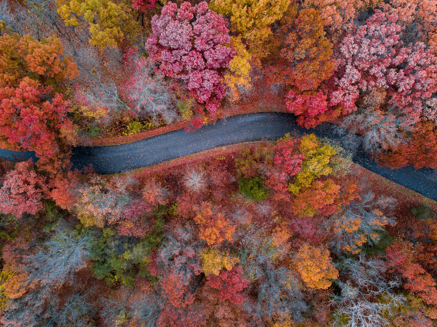 Michigan In The Fall